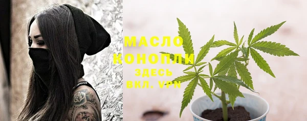 сатива Новозыбков