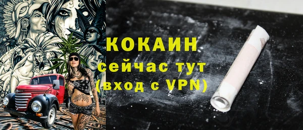 сатива Новозыбков