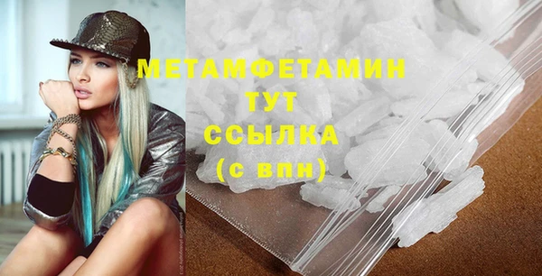 сатива Новозыбков