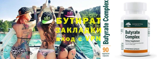 сатива Новозыбков