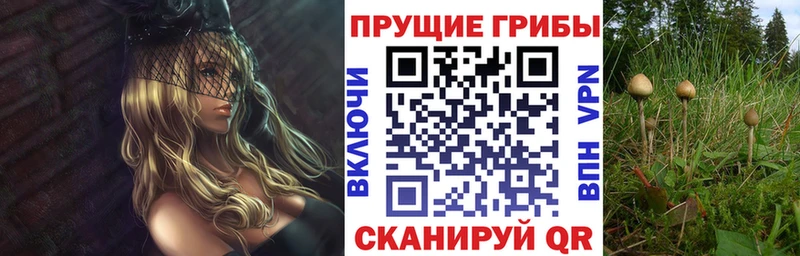 сайты даркнета как зайти  Нижний Тагил  Галлюциногенные грибы Cubensis  как найти  