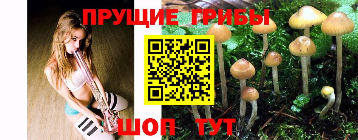 Галлюциногенные грибы Psilocybe Нижний Тагил