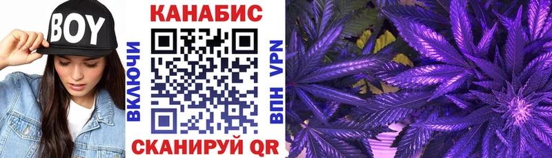 mega онион  Нижний Тагил  Бошки марихуана White Widow  наркошоп 
